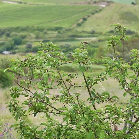 Deluxe Bedroom In Farmhouse, Swimming Pool, By Timecooler